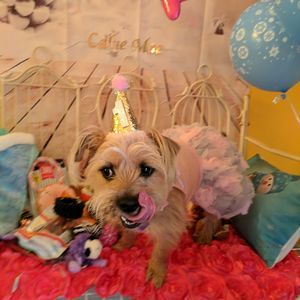 Meet your Posher, Cindy